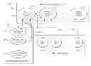 Fig. 01 - Generation of synthetic context frameworks for dimensionally constrained hierarchical synthetic context-based objects