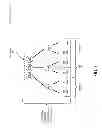 Fig. 05 - Balanced P-LRU tree for a “multiple of 3” number of ways cache