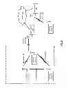 Fig. 16 - Large scale subscription based dispersed storage network