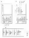 Fig. 04 - Assistive overlay for report generation