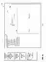 Fig. 06 - Assistive overlay for report generation
