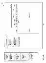 Fig. 07 - Assistive overlay for report generation