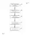 Fig. 07 - Content scrubbing