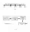 Fig. 04 - Online video playing method and video playing server