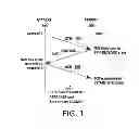 Fig. 02 - Method and system for defeating denial of service attacks