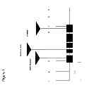 Fig. 02 - NUCLEOTIDE SEQUENCES MEDIATING MALE FERTILITY AND METHOD OF USING SAME