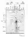 Fig. 04 - NUCLEOTIDE SEQUENCES MEDIATING MALE FERTILITY AND METHOD OF USING SAME
