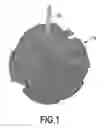 Fig. 02 - BATH BALL