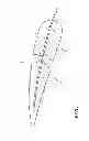 Fig. 02 - Feather imping pin