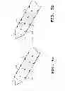 Fig. 06 - Feather imping pin