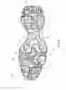 Fig. 06 - Outsole of a footwear article, having fin traction elements