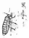Fig. 08 - APPARATUS TO BLOCK PEST MOBILITY AND LOCOMOTION