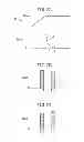 Fig. 09 - Exhaust purification system for internal combustion engine