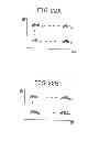 Fig. 23 - Exhaust purification system for internal combustion engine