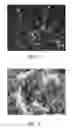 Fig. 07 - Methods of controlling nanostructure formations and shapes