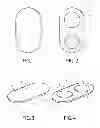 Fig. 02 - Protector for musical instrument and player