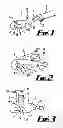 Fig. 02 - Animal lead