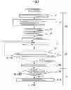 Fig. 06 - Method for controlling internal combustion engine, internal combustion engine, and vehicle equipped with same