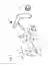 Fig. 07 - Fuel pump