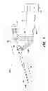 Fig. 02 - Fundus bumper mechanical reference for easier mechanism deployment