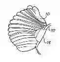 Fig. 01 - Pleated filtering face piece respirator