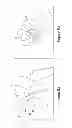 Fig. 07 - APPLICATOR