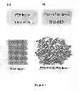 Fig. 02 - FLEXIBLE DYE-SENSITIZED SOLAR CELL