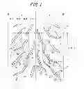 Fig. 02 - PNEUMATIC TIRE FOR AN AUTO MOTORCYCLE