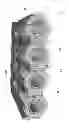 Fig. 02 - MODULAR COMPOSITE INTERCOOLER