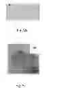 Fig. 07 - Graphite oxide and/or graphene preparation method