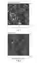 Fig. 03 - Composite filtration membranes and methods of preparation thereof