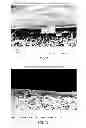 Fig. 07 - Composite filtration membranes and methods of preparation thereof