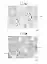 Fig. 10 - CARBON NANOTUBE COMPOSITE MATERIAL