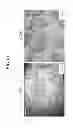 Fig. 11 - CARBON NANOTUBE COMPOSITE MATERIAL