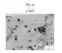Fig. 14 - CARBON NANOTUBE COMPOSITE MATERIAL