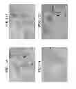 Fig. 16 - CARBON NANOTUBE COMPOSITE MATERIAL