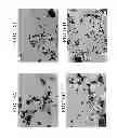 Fig. 17 - CARBON NANOTUBE COMPOSITE MATERIAL