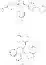 Fig. 22 - Organic light emitting device
