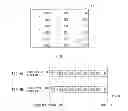 Fig. 05 - Display panel and display device