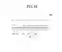 Fig. 06 - Flexible display substrate, flexible organic light emitting display device and method of manufacturing the same