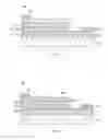 Fig. 02 - Substrate for optics having a plurality of dot lines, semiconductor light emitting device. and exposure apparatus
