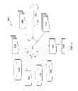 Fig. 07 - Stress engineered multi-layers for integration of CMOS and Si nanophotonics