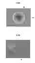 Fig. 11 - CARBON NANOTUBE FIBER AND METHOD FOR PRODUCING THE SAME