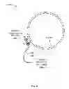 Fig. 35 - Valve, pipe and pipe component repair