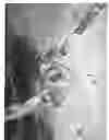 Fig. 06 - High pressure pipe and fitting restraint system