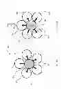 Fig. 02 - Piezoelectric generator