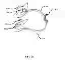Fig. 225 - Encasements for an electronic device having a biometric scanner
