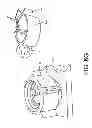 Fig. 56 - Encasements for an electronic device having a biometric scanner