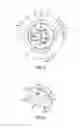 Fig. 04 - Lamp device, light-emitting device and luminaire