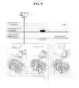 Fig. 07 - Magnetic resonance imaging apparatus and control method thereof
